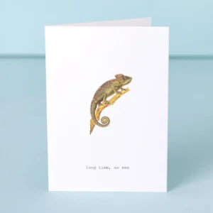 Long Time No See Greeting Card